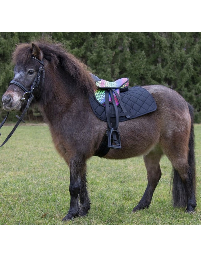 Kit licol et longe équitation Cheval et poney - Strass bleu noir