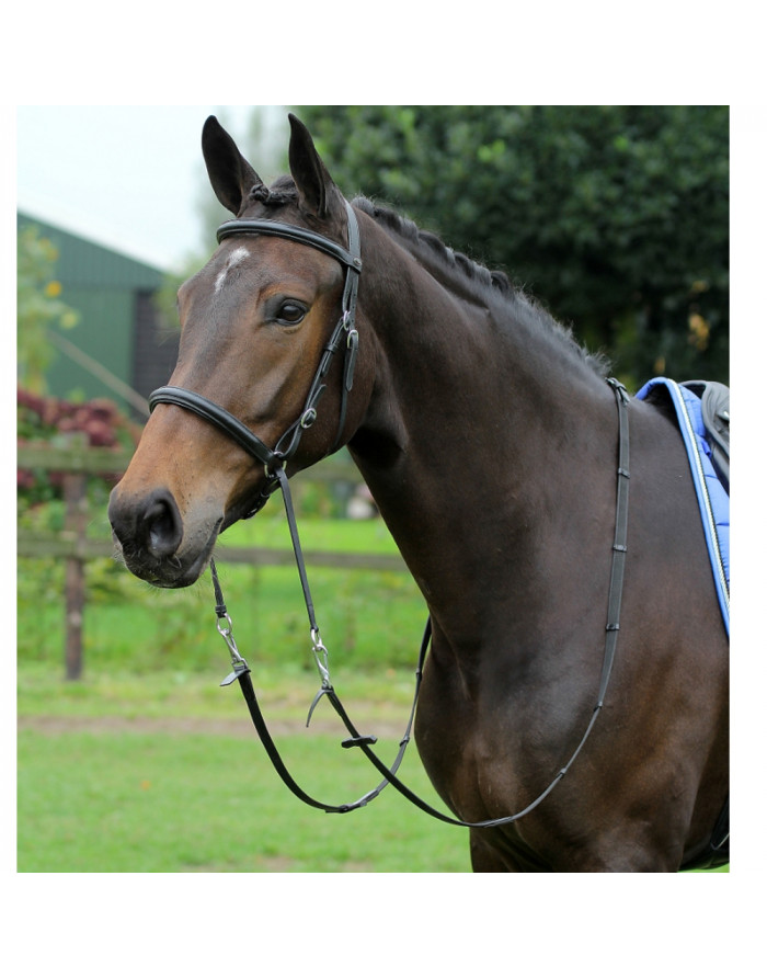 filet cheval complet avec mors à aiguilles et rênes