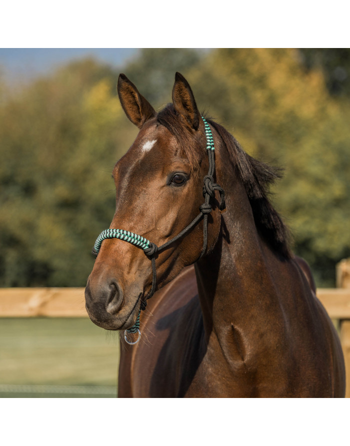 Licol éthologique nodal 180242 Equidé Poney Coloris Rose Fushia