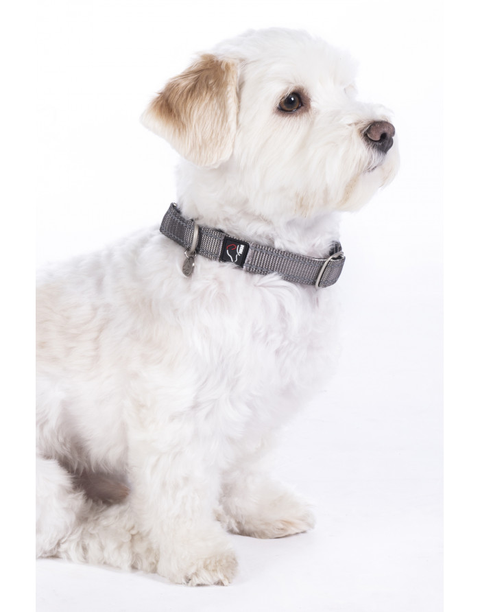 Collier pour chien Anam Cara Nylon HKM Taupe 13728.2900