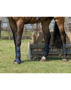 Guêtres pour la protection des membres du cheval - Coffia