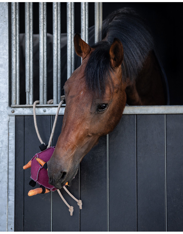 Jouets pour chevaux ball QHP-QHP5447