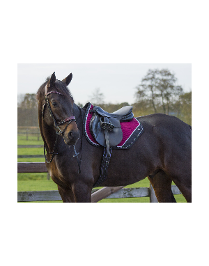 Equipement du cheval – Tapis de selle chabraques et amortisseurs chez  Alidada