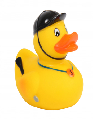 Canard "cavalier" 7091