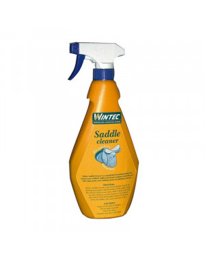 Spray nettoyant sellerie synthétique WINTEC 500 ml 700238