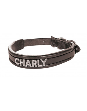 Collier pour chien Brun 5934