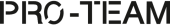 Logo PRO-TEAM
